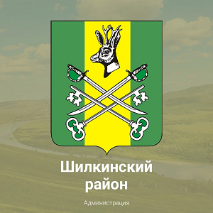 Укажите название организации.